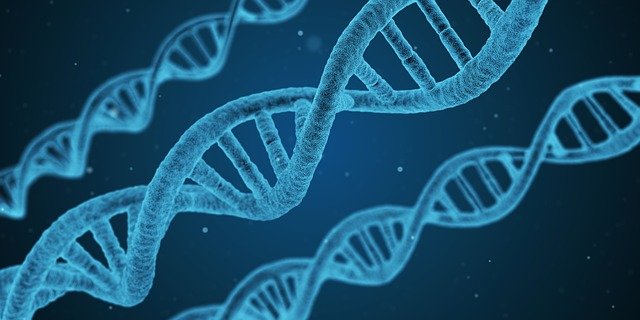 Our DNA Are Our Desires